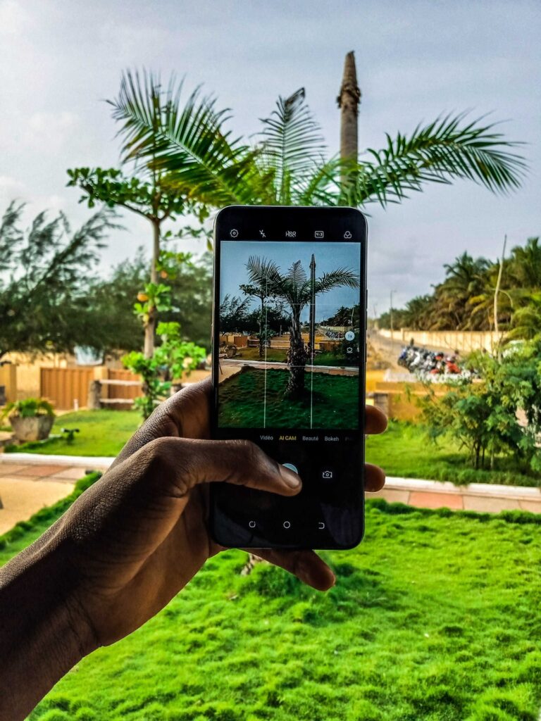 Iphone prenant en photo un palmier 